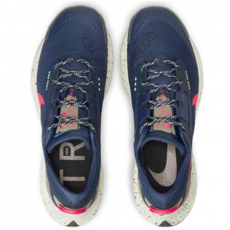NIKE Pegasus Trail 3 Gore-Tex - DC8793-401 [2]
