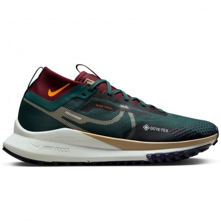 NIKE Pegasus Trail 4 Gore-Tex - DJ7926-302 [0]