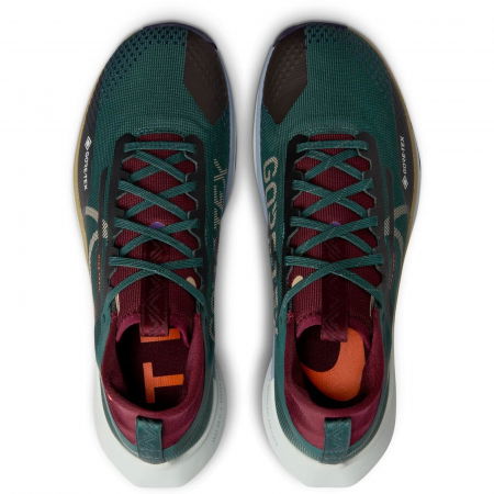 NIKE Pegasus Trail 4 Gore-Tex - DJ7926-302 [2]