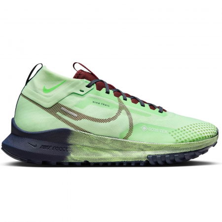 NIKE Pegasus Trail 4 GTX - DJ7926-303 [0]