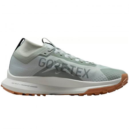 NIKE Pegasus Trail 4 GTX - DJ7926-304 [1]
