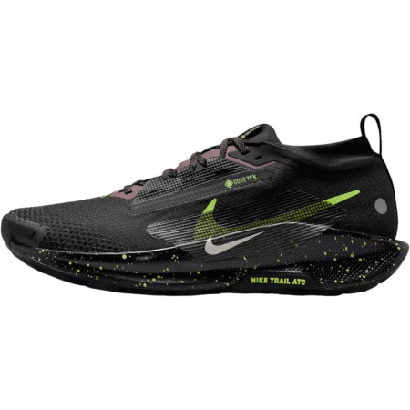 NIKE Pegasus Trail 5 GTX - FQ0908-014 [1]