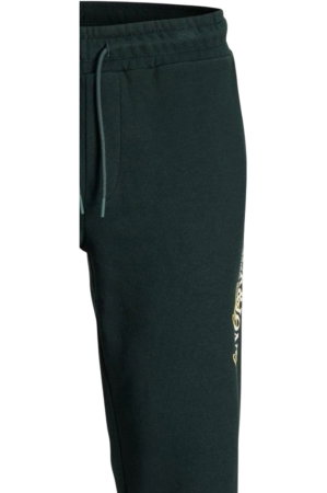 Pantaloni JACK &JONES Gordon Jade BF - 12299124-Scarab [2]
