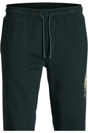 Pantaloni JACK &JONES Gordon Jade BF - 12299124-Scarab [3]