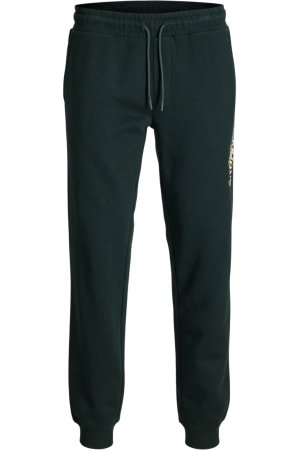 NOUTĂŢI - Pantaloni JACK &JONES Gordon Jade BF - 12299124-Scarab