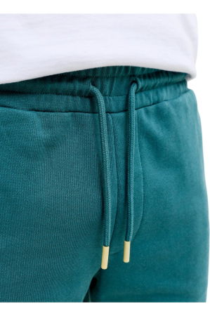 Short JACK &JONES Gordon College - 12289726-Atlantic Deep [2]