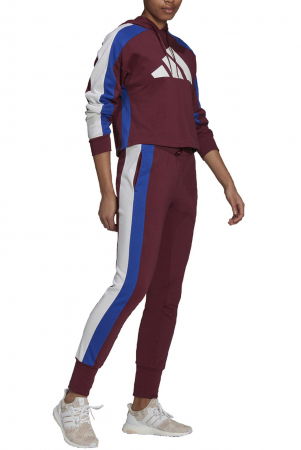 Trening Adidas Big Logo - H48550 [2]