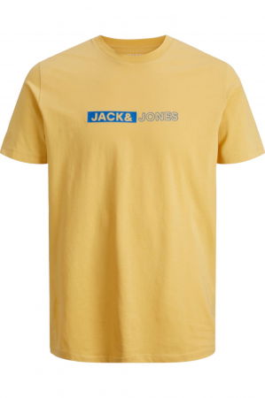 TRICOURI - Tricou JACK &JONES Neo JNR - 12255503-Jojoba