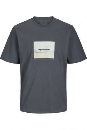 Tricou JACK &JONES Vesterbro Newton Box - 12265742-Iron [0]