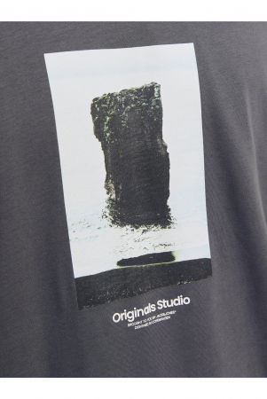 Tricou JACK &JONES Vesterbro Picture - 12250421-Iron [2]