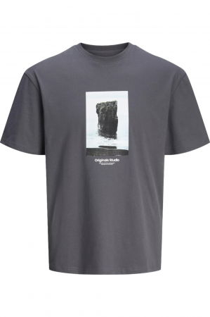 Tricou JACK &JONES Vesterbro Picture - 12250421-Iron [0]