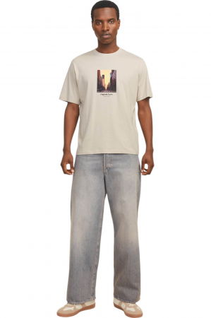 Tricou JACK &JONES Vesterbro Picture SS25 - 12250421-Moonbeam [3]