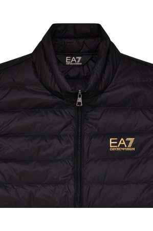 Vesta Emporio Armani EA7 Core Identity Down Light - PNGPZ-8NPQ06-0208 [3]