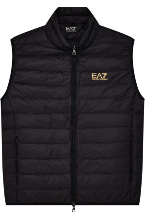Vesta Emporio Armani EA7 Core Identity Down Light - PNGPZ-8NPQ06-0208 [5]