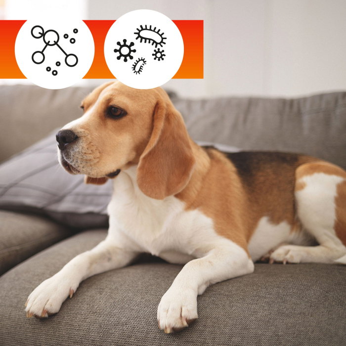 Set pentru curatarea patului OA Bed + 1 Laveta din microfibra 35x35 cm + 1 Saculet [13]