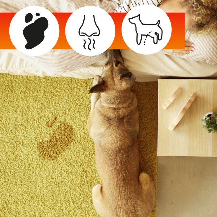 Solutie curatare covoare OA Carpet Care 500 ml - ExpoMob [9]