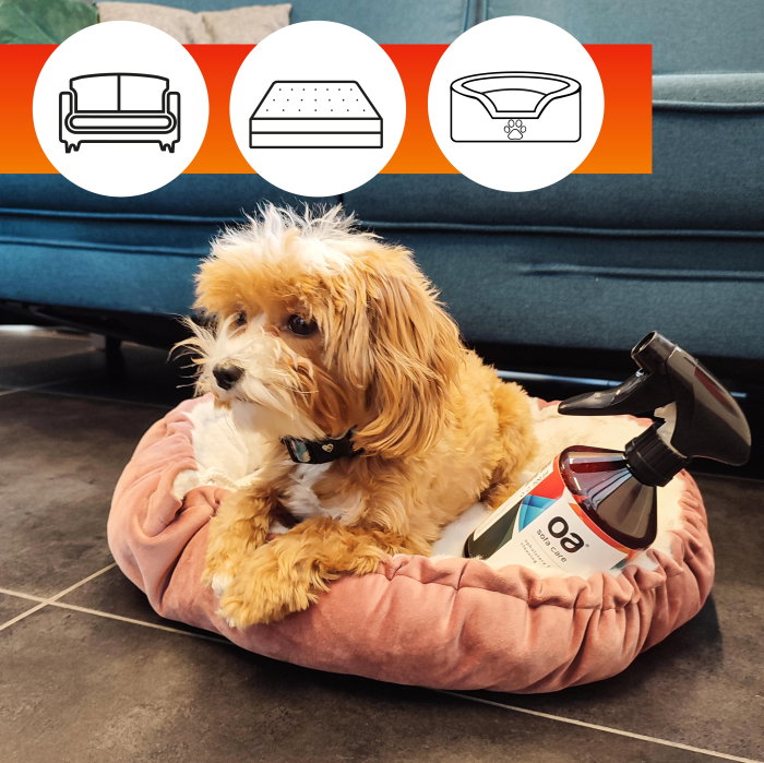 Solutie curatare tapiterie OA Sofa Care 250 ml sau 500 ml - ExpoMob [6]