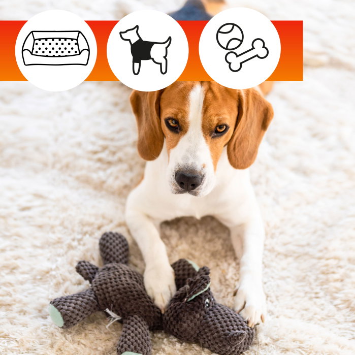 Solutie curatare tesaturi pentru animale de companie OA Pets Fabrics Cleaner 500 ml - ExpoMob [6]