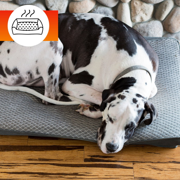 Solutie indepartare miros animale de companie OA Pets Odour Removal 250 ml [5]