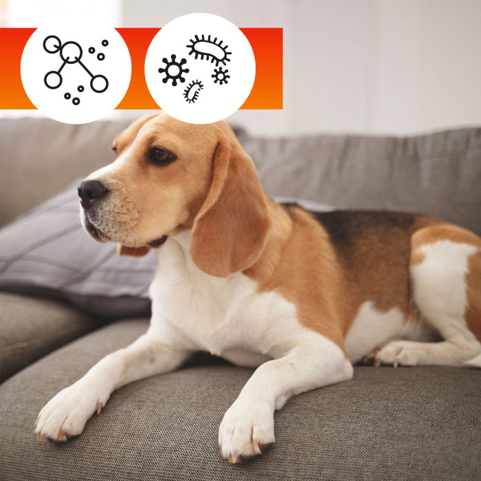 Solutie protectie tapiterie OA Sofa Protector 250 ml sau 500 ml - ExpoMob [7]