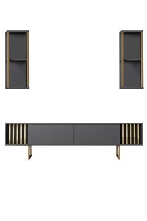 Comoda TV GOLD LINE, cu rafturi de perete, 180x30x48 cm [6]