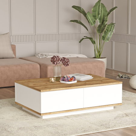 Masuta de cafea FR14-AW, 90x60x28,6 cm [2]