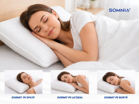 Expediere in 48 ore - Perna clasica din nanofibra Somnia Élite Damasc, 50 x 70 cm, la geanta