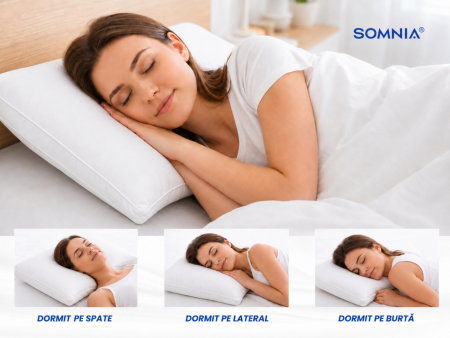Expediere in 48 ore - Perna Gusset din nanofibra Somnia NanoDream Premium, pentru fata de perna 50 x 70 cm, la geanta