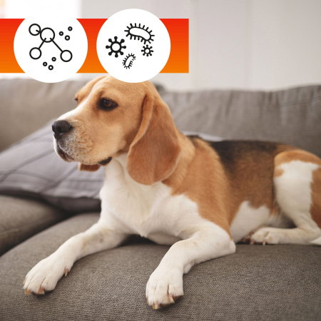 Set pentru curatarea si protectia patului OA Bed + 1 Laveta din microfibra 35x35 cm [11]