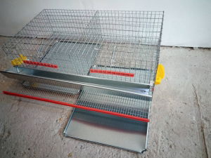 Prepeliţe - cusca prepelite