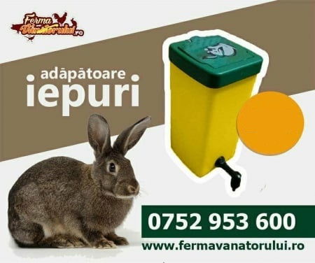 Iepuri - Adăpătoare de iepuri cu recipient de 1L, portocaliu