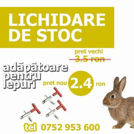 Iepuri - Adăpători automate pentru iepuri și chinchila