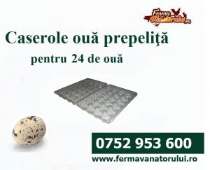 Prepeliţe - Caserolă pt. ouă de prepeliţe cu 24 de locașuri