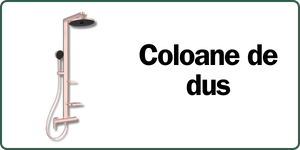Coloane de dus