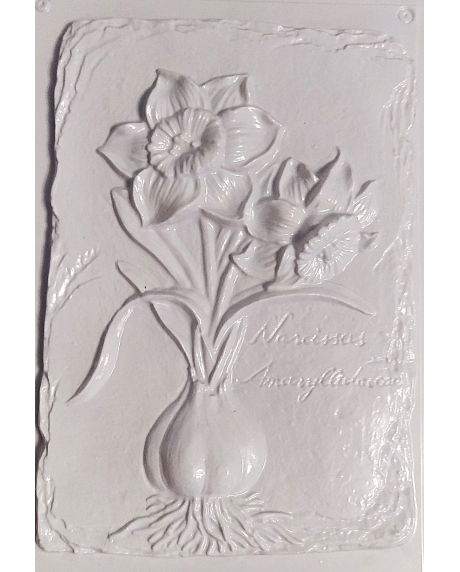 matrita-pentru-turnat-narcise [1]