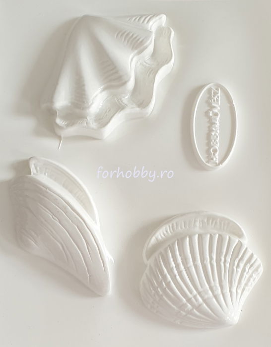 matrita-pentru-turnat-ipsos-scoici [2]