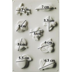 matrita-pentru-turnat-fructe-1 [1]