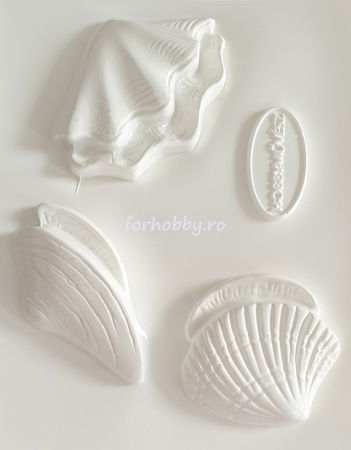 matrita-pentru-turnat-ipsos-scoici [1]