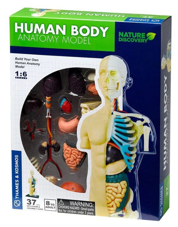 Set educativ STEM Anatomia Corpului Uman