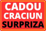Cadou - craciun surpriza