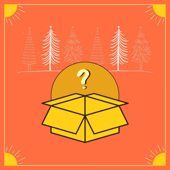 Cadou Craciun surpriza [1]