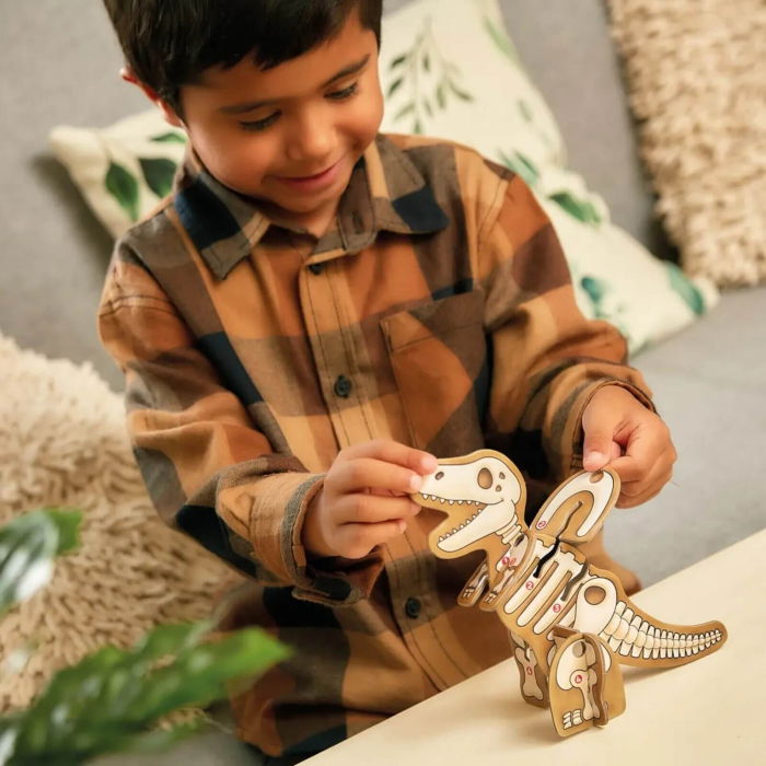 Dinosaur Dig (RO-EN) [6]