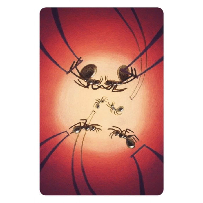 Dixit Harmonies (RO) [4]