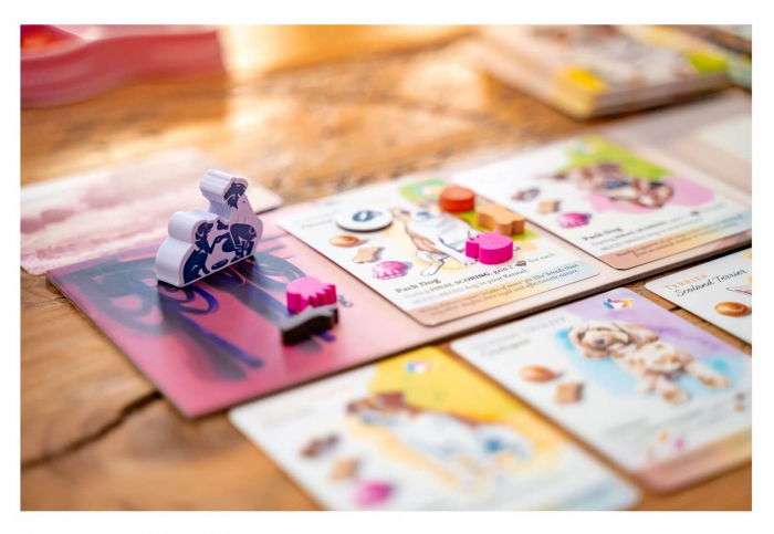 Dog Park - Extensie New Tricks + Collector's Upgrade and KS Pack (EN) [8]