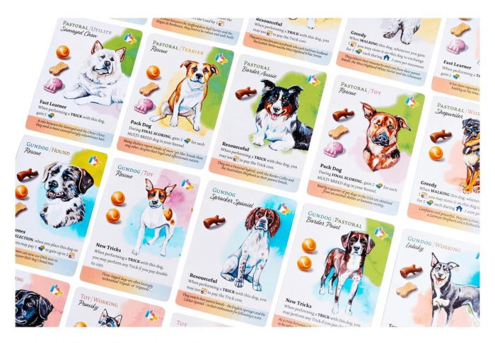 Dog Park - Extensie New Tricks + Collector's Upgrade and KS Pack (EN) [5]