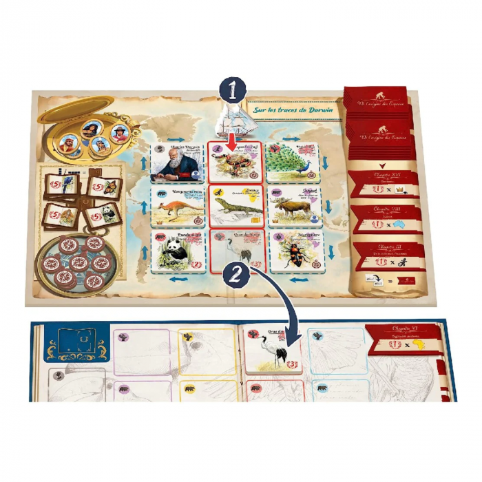 In The Footsteps of Darwin (EN) [2]