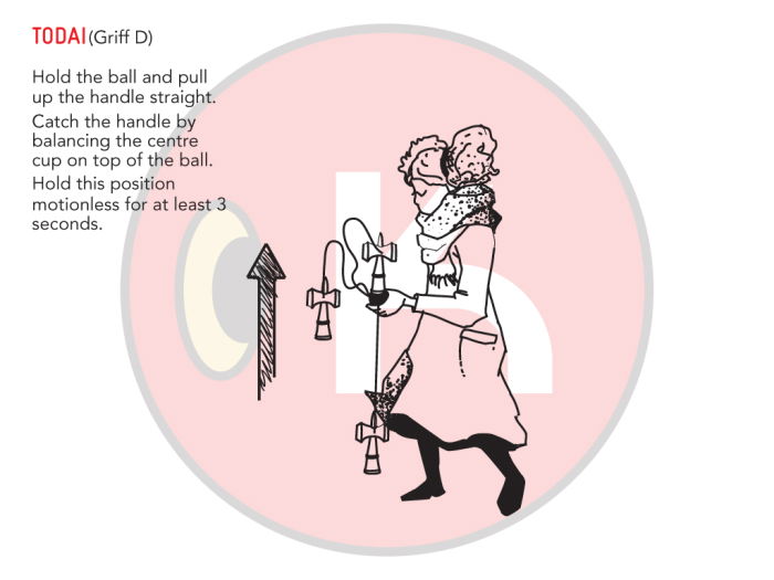 Kendama Record Plus - Stardance MC [14]