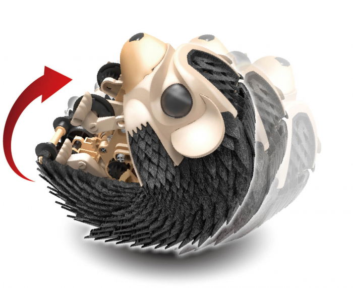 Kit robotica de constructie Arici [3]