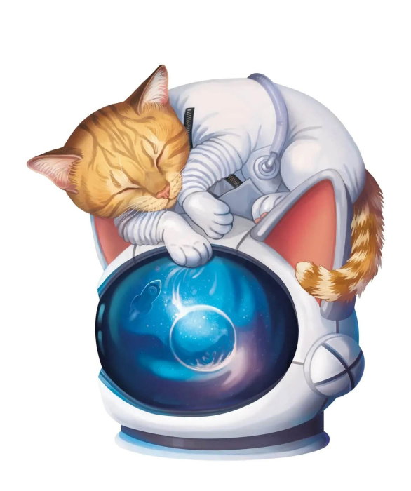 MLEM - Astromiauti (RO-UKR) [5]