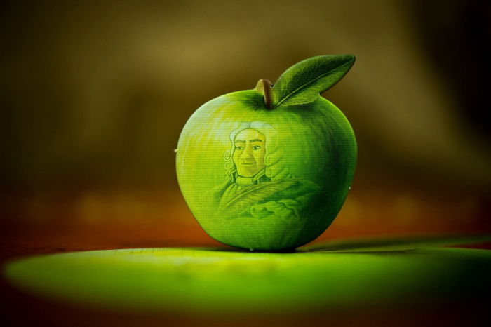 Newton  - Joc de Societate [9]